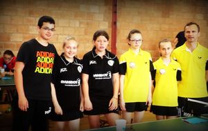 Tournoi International d'Hasselt