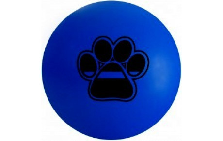 Critérium &quot;C&quot; Set Jet Fleur Bleue